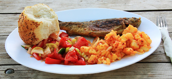 免费下载不要钱的ddos网页版